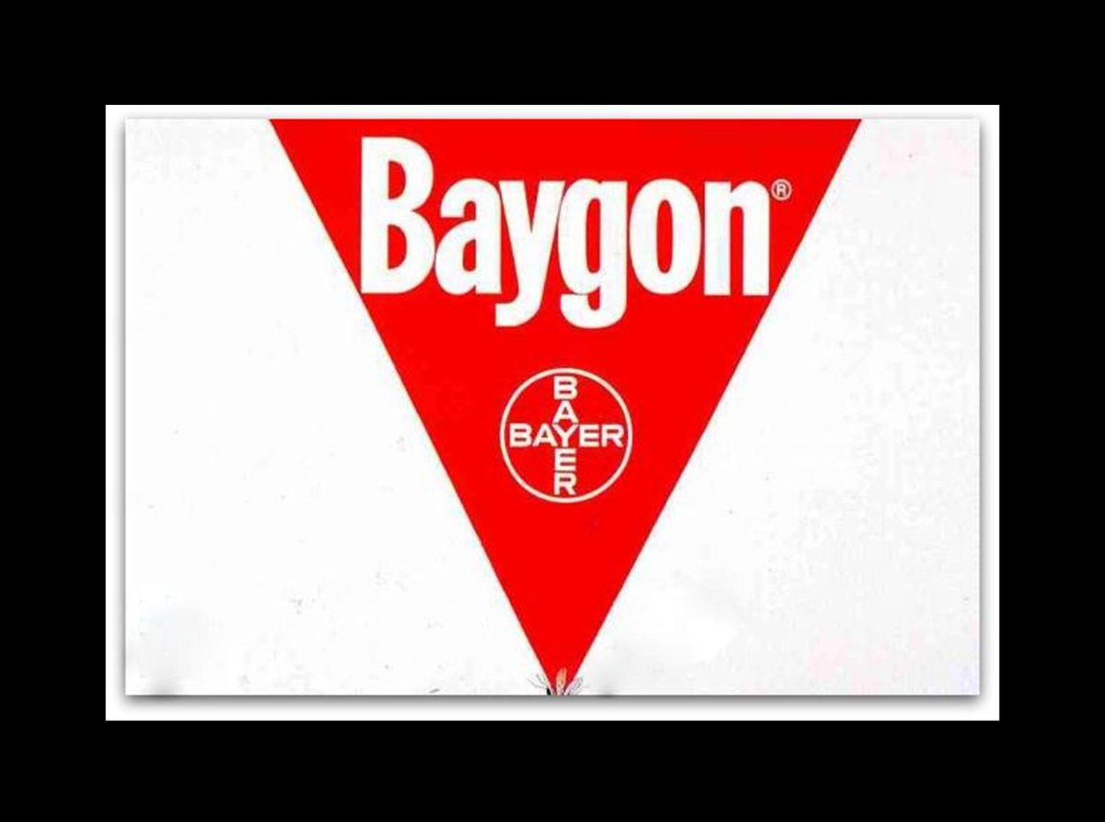 Baygon logo